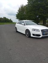 Audi S3 2.0 TFSI quattro Navi Xenon Shz Top Zust - Audi S3 aus 2009