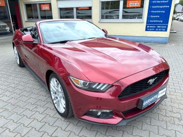 Ford Mustang - 11