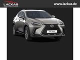 Lexus NX 350 h 15 Jahre Garantie Exec utive + Interieu - silberne Lexus NX 350h