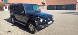 Mercedes-Benz G 270 CDI Station Wagon Lang - - Mercedes-Benz G 270 Gebrauchtwagen