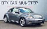 Volkswagen Beetle Lim. Design Alu Szh PDC R.Kamera Panorama - Volkswagen Beetle