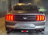 Ford Mustang 2.3 EcoBoost Auto - wenige Kilometer - Ford Mustang: Ecoboost