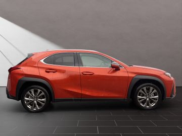 Lexus UX - 6