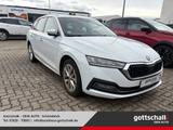 Skoda Octavia Combi 2.0 TDI DPF First Edition EU 6d-T - Skoda Octavia: Kombi, Combi Eu