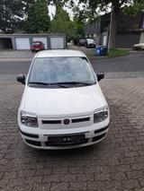 Fiat Panda - Fiat Panda Gebrauchtwagen in Mönchengladbach