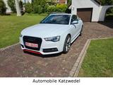 Audi A5 3.0 TDI quattro DTM Champion 1of300/S-Line - Audi A5 DTM Gebrauchtwagen
