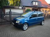 Fiat fiat panda - Fiat Panda Gebrauchtwagen in Hannover