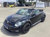 Volkswagen Beetle 1.2 TSI BMT Design Cabriolet Design - VW Beetle von privat