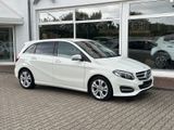 Mercedes-Benz B 220 B -Klasse B 220 4Matic Urban Style Edition - Mercedes-Benz B 220 in Bochum