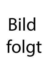 Opel Adam Open Air 120 Jahre/1.Hand/Sehr gepflegt/ - Opel Adam Gebrauchtwagen in München