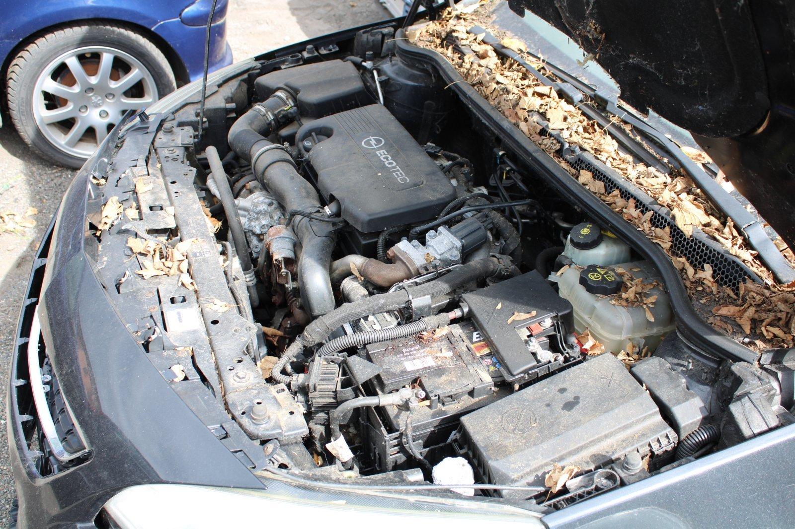 Opel Astra 2012 — photo 5