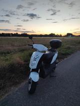 Kymco Agility - KYMCO VON 1 BIS 50 CCM