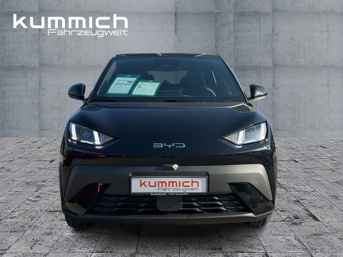 BYD DOLPHIN - Bild 2