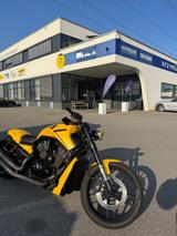 Harley-Davidson Night Rod Special BBC 300er - HARLEY-DAVIDSON 300