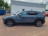 Mazda CX-30 2WD*TopZustand*NAVI*HUD*RFK*SHZ*Garantie - Mazda CX-3
