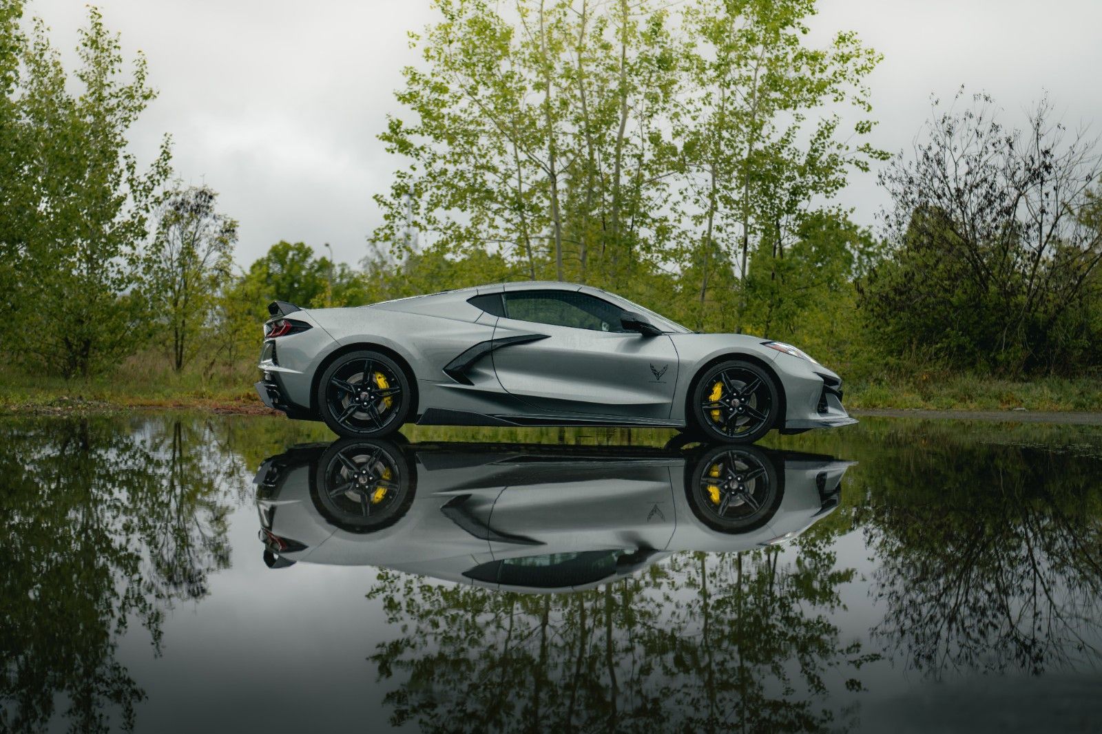Fahrzeugabbildung Corvette C8 Stingray 3LT Targa Z51 Performa. Lift Carbon