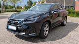 Andere Lexus NX200T AWD Luxury Line, Garantie, AH... - Andere Gebrauchtwagen