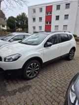 Nissan Qashqai+2 1.6 dCi DPF 360  - Nissan Qashqai+2: Van