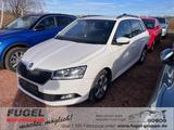 Skoda Fabia Combi 1.0 TSI Ambition Temp|PDC - Skoda Fabia Gebrauchtwagen in Chemnitz