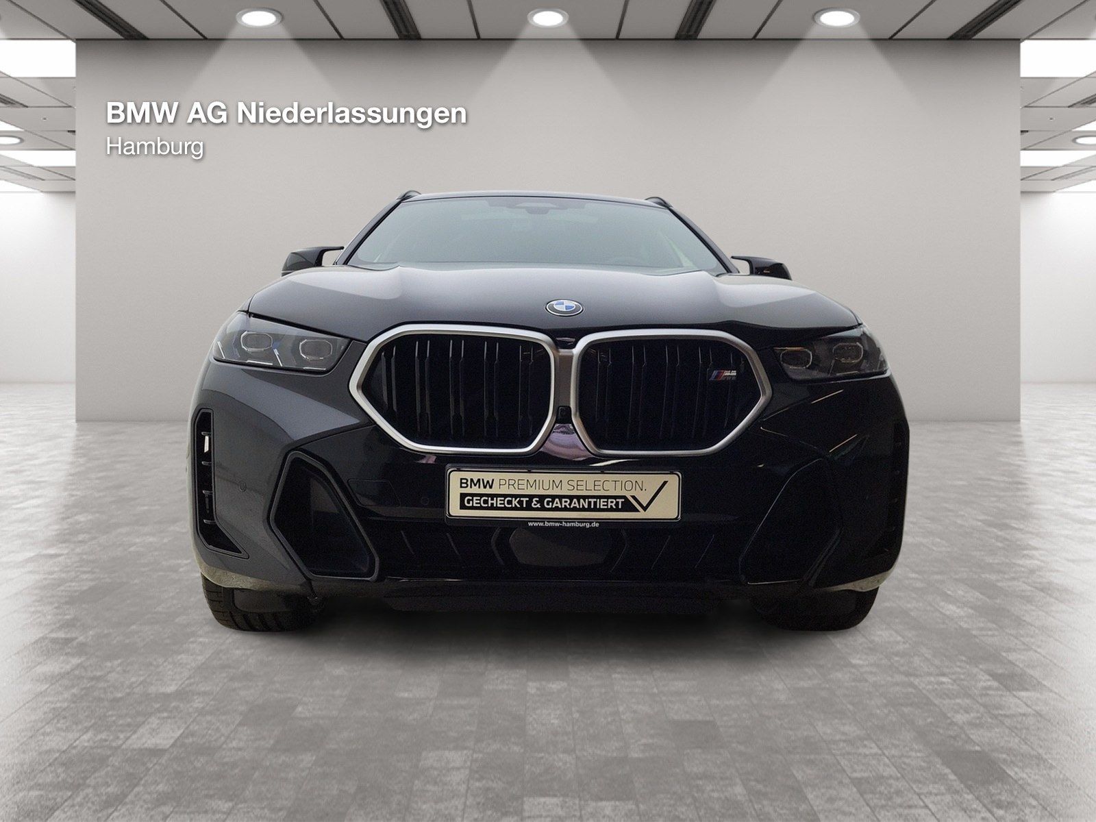 BMW X6 M60 - Bild 10