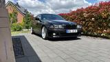 BMW E39 530D Facelift / M-Paket / ROD 0058... - BMW 530: 530d E39