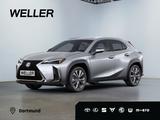 Lexus UX 300h F SPORT Design *LED*ACC*18''*Kamera*SHZ* - Lexus UX: F Sport