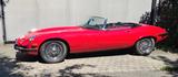 Jaguar E-Type Cabriolet V12 Serie III, Bj. 1971 - Jaguar E-Type: Cabrio, V12