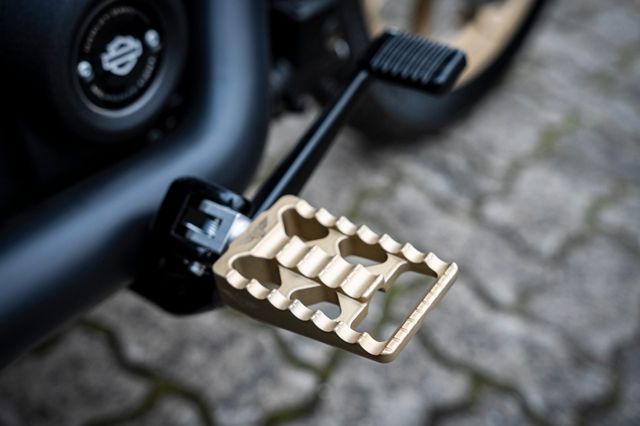 Fahrzeugabbildung Harley-Davidson FXLRS LOW RIDER S 114 HeinzBikes x HDKiel