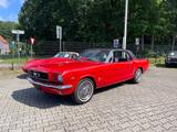 Ford Mustang - Ford Mustang aus 1965