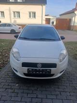 Fiat Punto 1.2 8V POP POP - Fiat Punto in Berlin