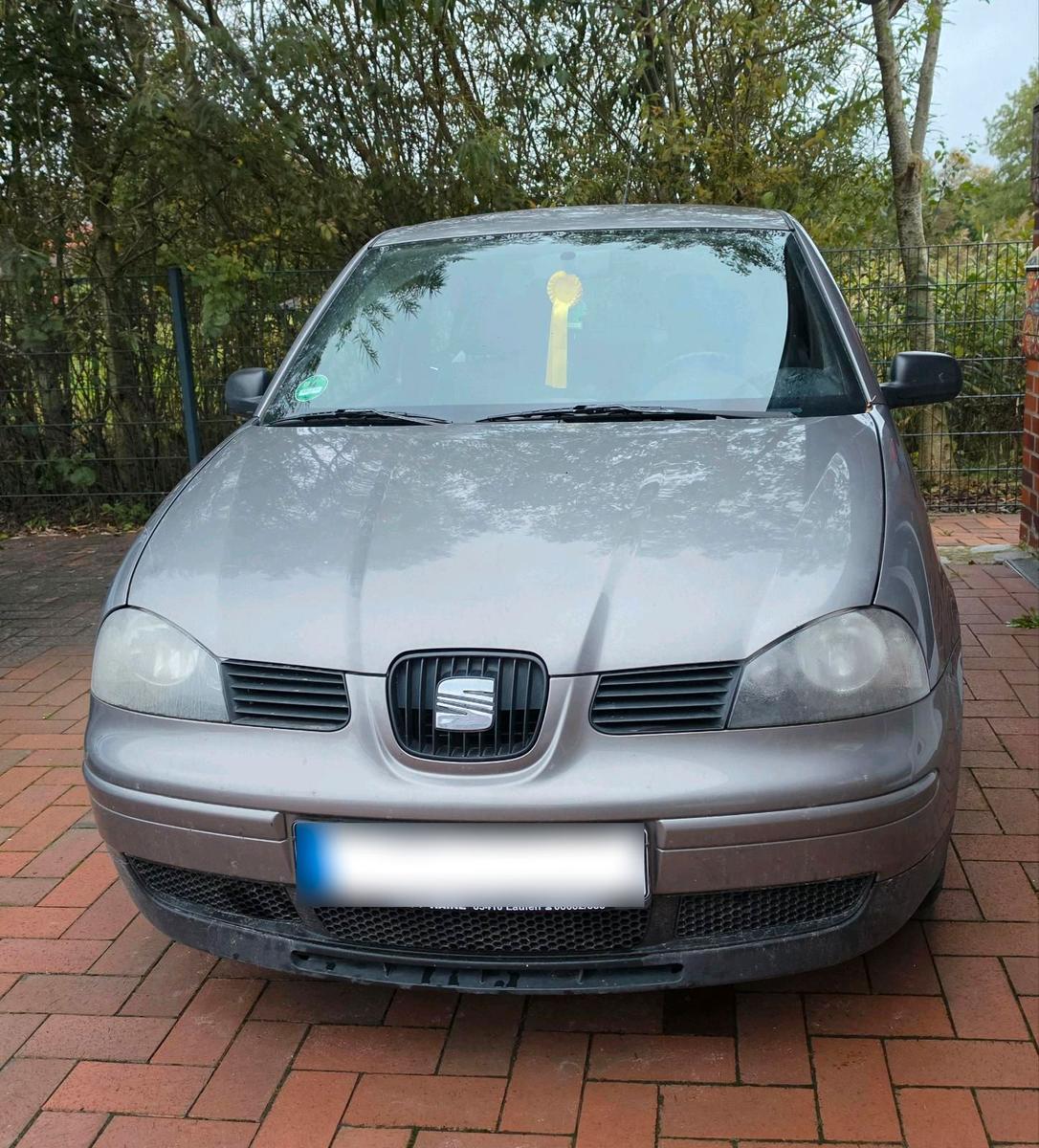 Seat Arosa