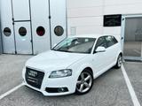 Audi A3 SPB 1.6 TDI 105 CV S-LINE Doppio - Audi A3 aus 2010: Line