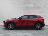 Mazda CX-30 EXCLUSIVE-LINE 186 2WD MATRIX+360°+LEDER - Mazda CX-30: Exclusive Line