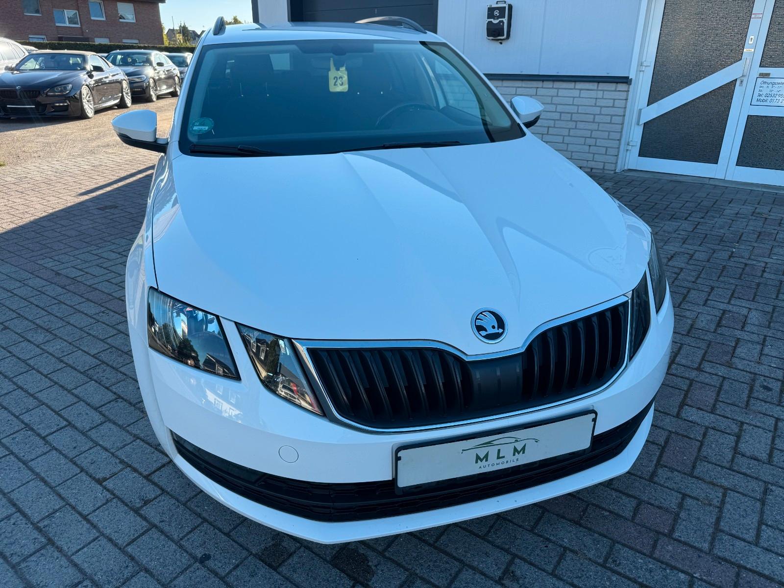 Skoda Octavia Combi Tour DSG Navi SHZ PDC Tempomt AHK