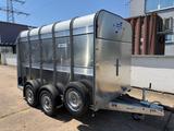 Ifor Williams TA510 Viehanhänger+311cmx178cmx183cm - Ifor Williams LKWs