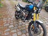 Triumph Scrambler 1200 XE - Triumph Motorräder in München