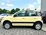 Fiat Panda 1.2 8V Climbing 4X4 *1.Hand+AHK+Allrad* - Fiat Panda: Allradantrieb, Climbing