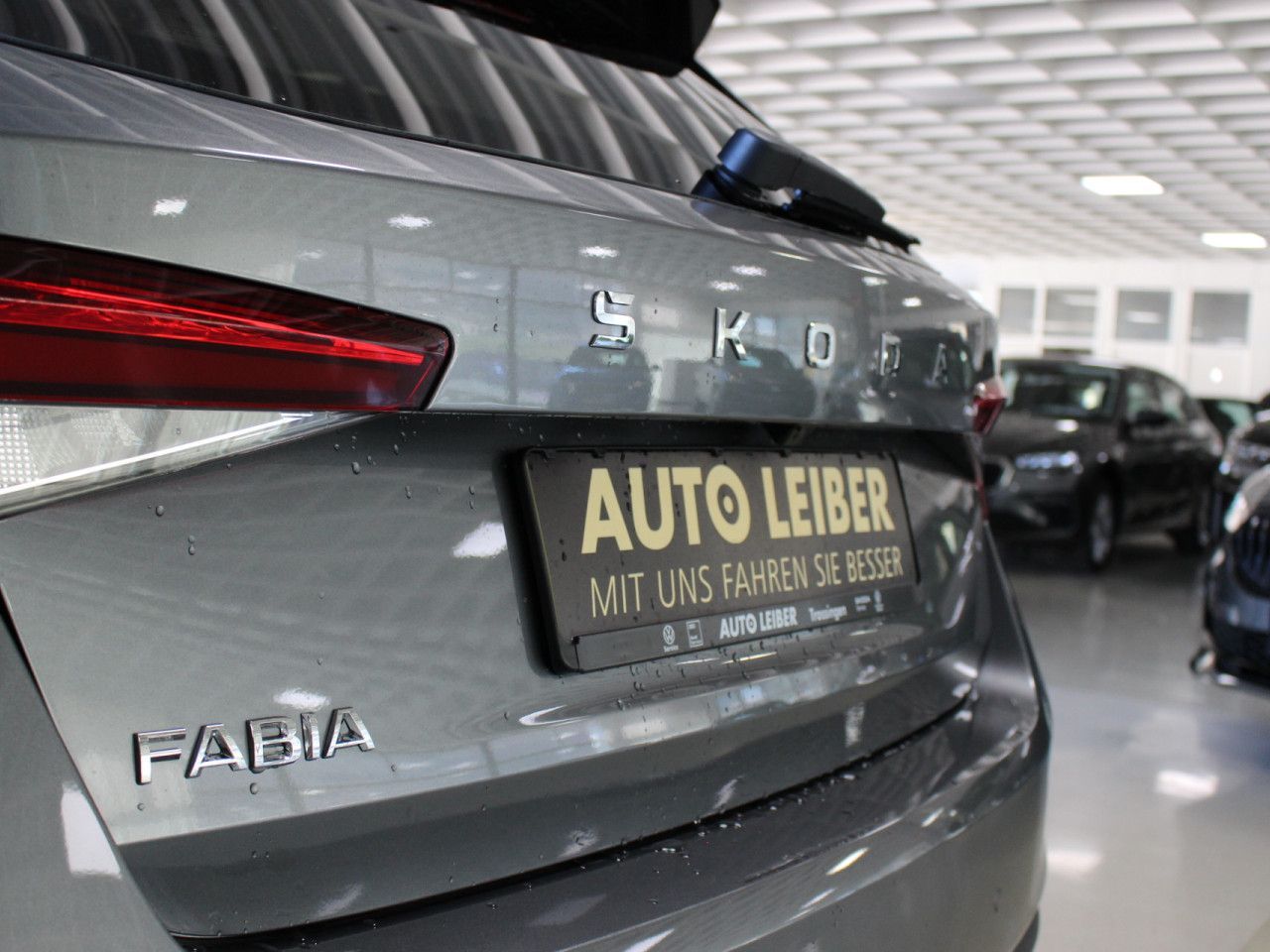 Fahrzeugabbildung SKODA Fabia 1.0 TSI Selection RFK/PDC/APP/beheizbare