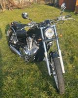 Suzuki VS 600 GL - SUZUKI VS 600 GL