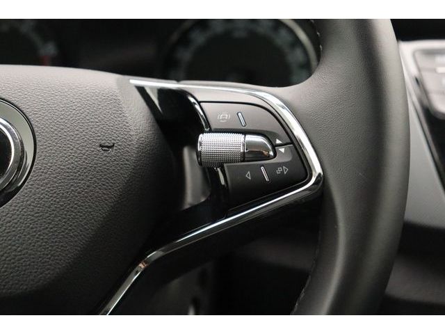 Fahrzeugabbildung SKODA Fabia Cool Plus