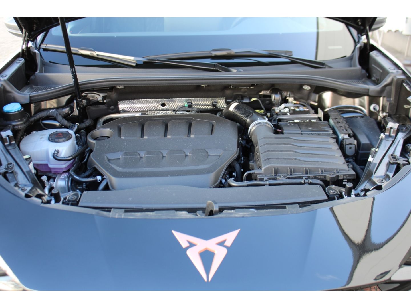 CUPRA Terramar 2.0 TSI 195 kW 4Drive VZ AHK Pano Navi - Image 34