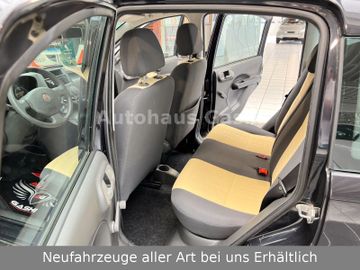 Fahrzeugabbildung Fiat Panda 1.2 Dynamic*2Hd*Klima*Servo*Zahnriemen-Neu
