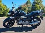 Suzuki Inazuma GW 250 - Offers matching your search criteria