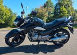 Suzuki Inazuma GW 250 - SUZUKI INAZUMA