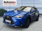 Lexus NX 350h Executive Line - Lexus aus 2024: Nx