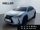 Lexus UX 250h Amazing Edition *Bi-LED*SHZ*CAM*CarPlay* - Lexus UX aus 2020