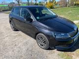 Skoda Fabia 1.4l TDI 66kW Active unfallfrei  - Skoda Fabia Active mit Diesel-Antrieb