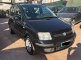 Fiat Panda 1300 mjet Dynamic - Fiat Panda Dynamic mit Diesel-Antrieb