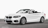 BMW 220i Cabrio M Sport NaviBusiness PDC Lordosenstü - BMW 220 mit Benzin-Antrieb: Cabrio