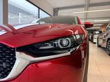 Mazda CX-30 Selection 122 PS *AHK*Design*Premium-Paket - Mazda in Hagen